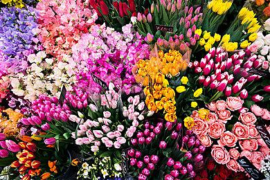 《LUNA-3X》登陆Switch 奇趣动作闯关冒险